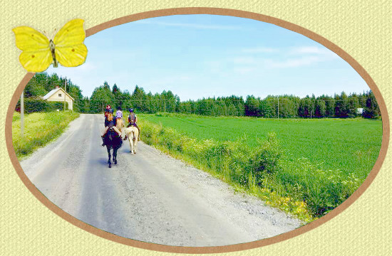 Mikkolan Ratsastuskoulu j&auml;rjest&auml;&auml; ratsastustunteja ja ratsastusleirej&auml; Vilppulassa.